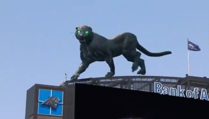 Una impresionante pantera virtual tomó el Bank of America Stadium