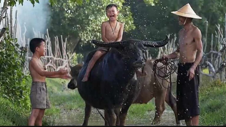 Día Mundial de los Animales y el papa Juan Pablo II