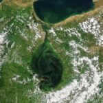 Lago de Maracaibo una tragedia económica, de salud pública y ambiental