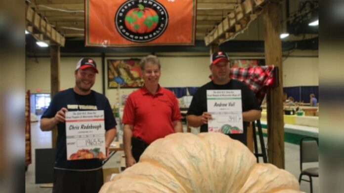 Una enorme calabaza de récord en la NC Fair