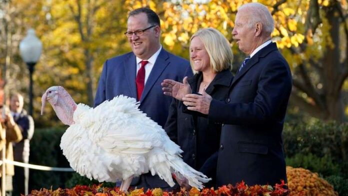 Biden perdona a dos pavos antes de thanksgiving fiel a la tradición