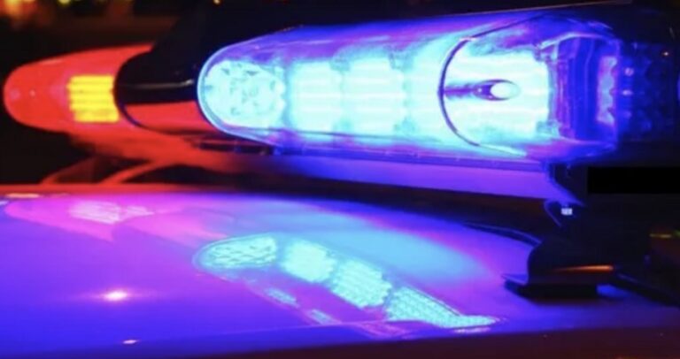 Mujer murió arrollada mientras ayudada a víctimas de accidente