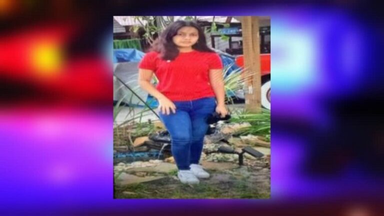 Secuestran a niña latina en Florida y la trasladan a Carolina del Norte