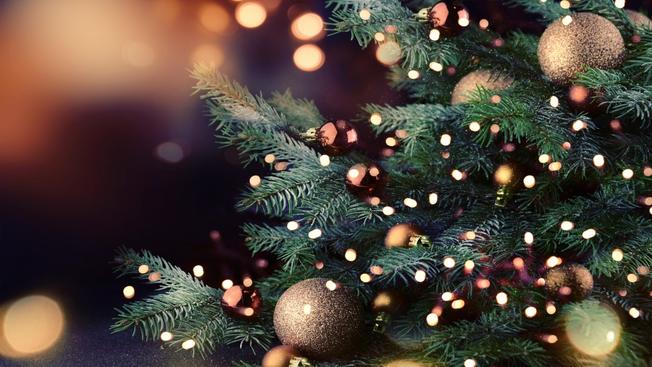 La Ciudad recoge desechos de árboles de Navidad