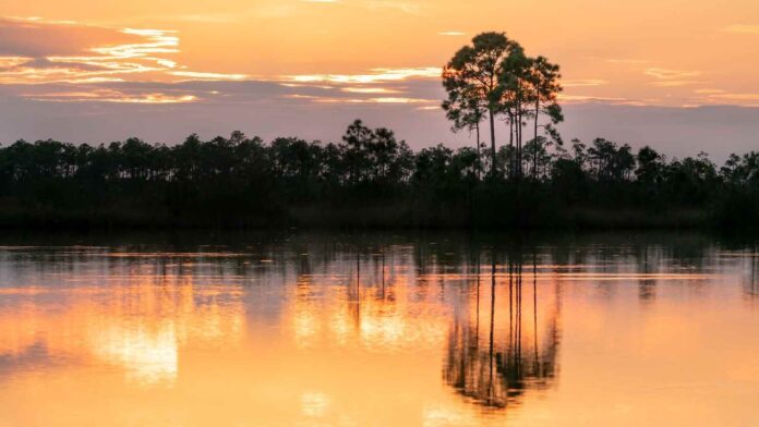 Humedal de los Everglades recibirá millonaria inversión