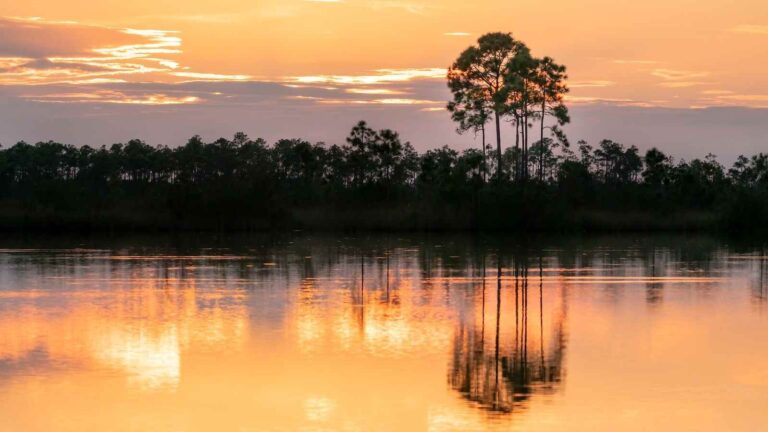 Humedal de los Everglades recibirá millonaria inversión