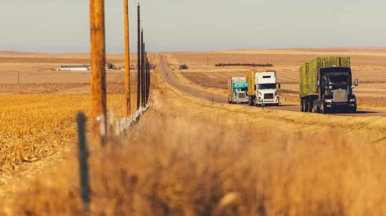 Camioneros de Estados Unidos camino a Washington