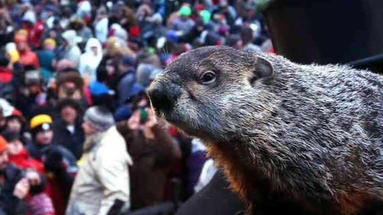 El Día de la Marmota predijo clima y política de Estados Unidos