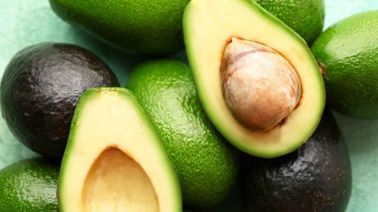 Estados Unidos suspende importaciones de aguacate