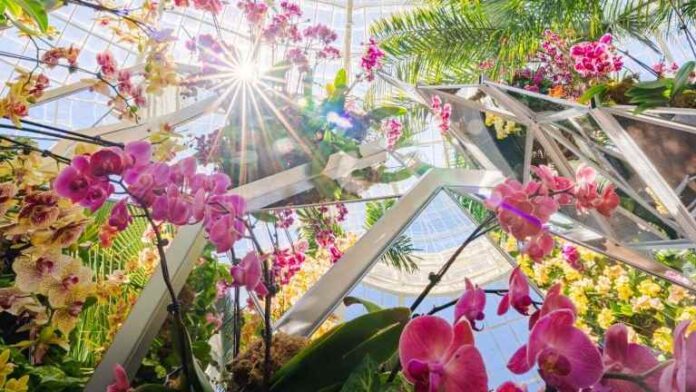 Jardín Botánico de Nueva York y su Caleidoscopio de Orquídeas