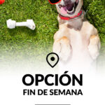EDITORIAL-OPCION-FIN-DE-SEMANA