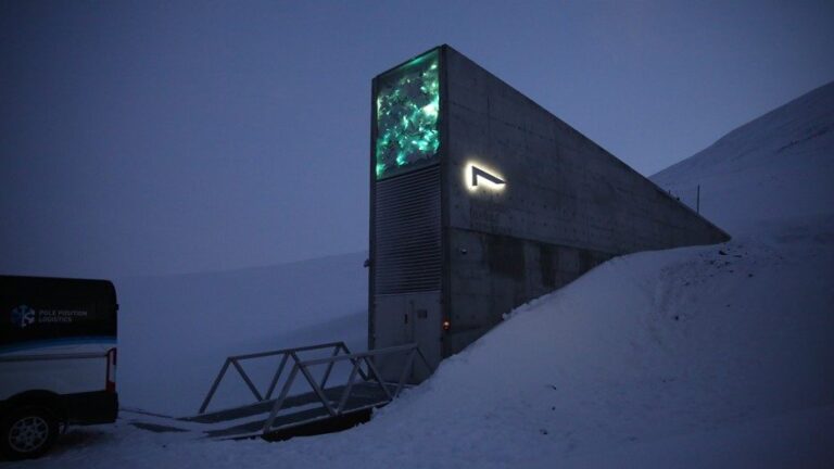 El Arca de Noé de Svalbard recibirá semillas en junio