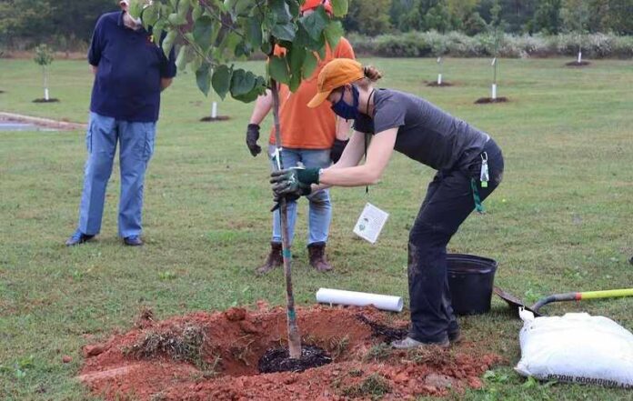 Jornada de donación de árboles en Charlotte