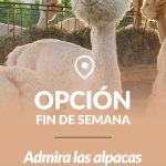 OPCION-FIN-DE-SEMANA (7)