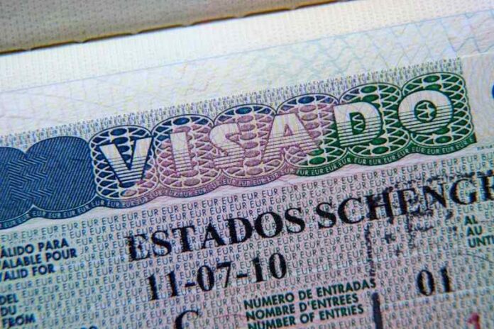 Sentenciada abogada migratoria por fraude