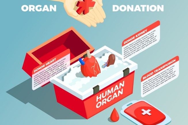 ¿Por qué la donación de órganos es tan importante?
