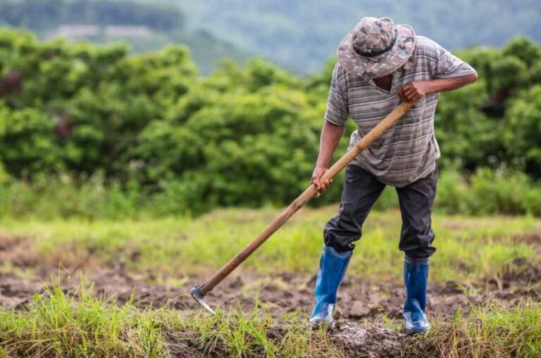 Falta de inmigrantes impacta fuerza laboral en EE. UU.