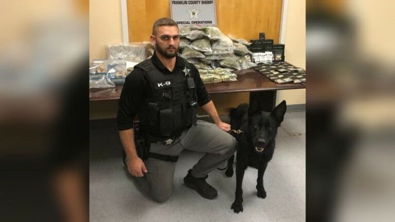 Perro policía murió en tiroteo