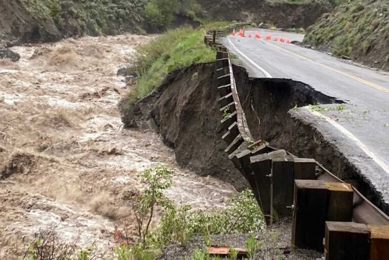 Entradas al Parque Nacional de Yellowstone afectadas por lluvias