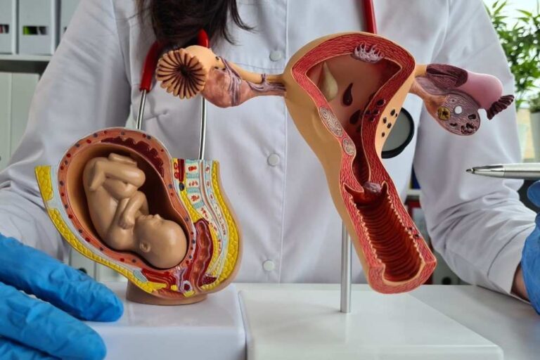 Texas erosionó las opciones de aborto
