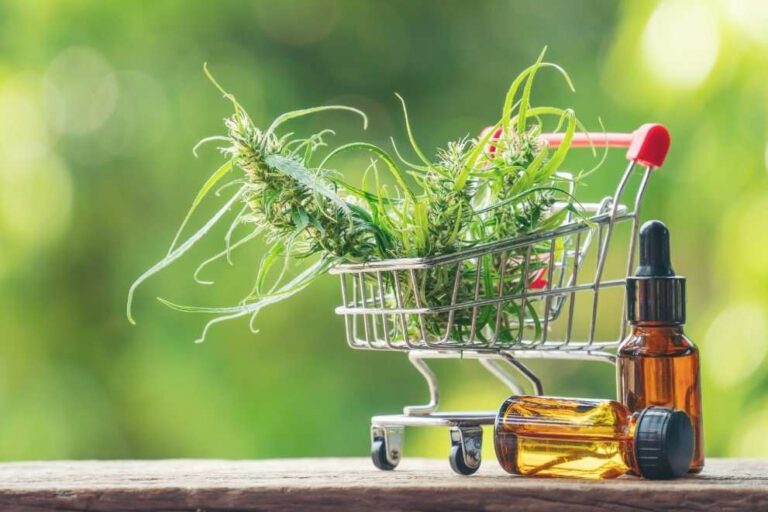 Primera tienda de marihuana en campus de universidad