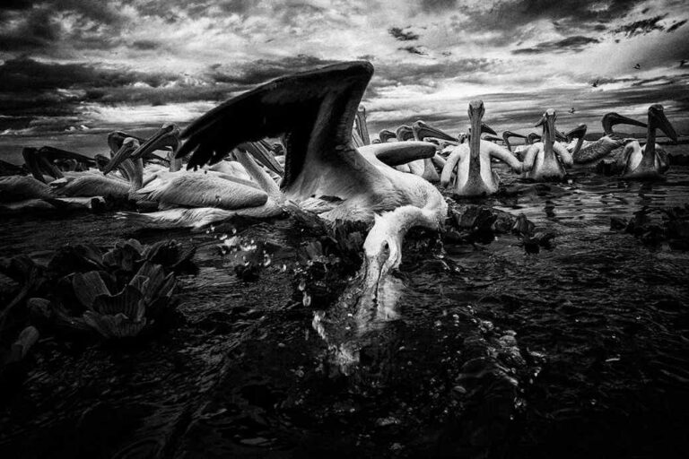 Sede y fechas del Latin American Foto Festival