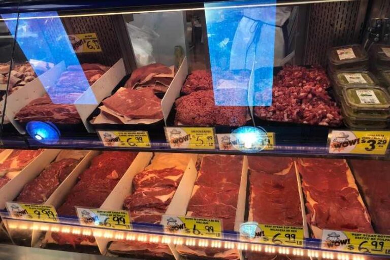 Trabajadores inmigrantes desempeñan «papel vital» en sector alimentación