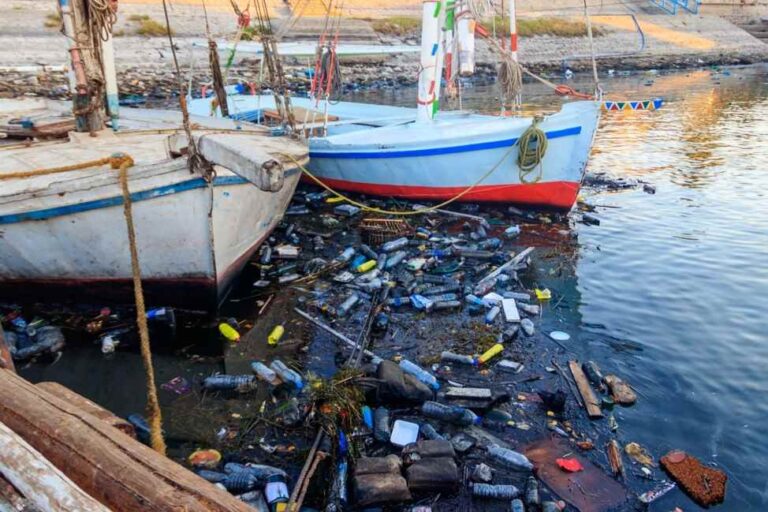 En sede de la ONU se busca cerrar tratado para protección de alta mar