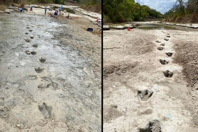 Hallan en Texas huellas de dinosaurios gigantes