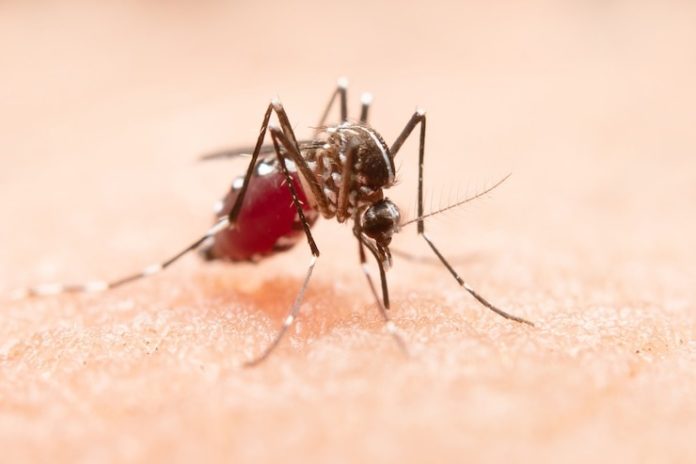 ncdhhs-llama-a-la-prevencion-frente-a-virus-del-nilo-occidental
