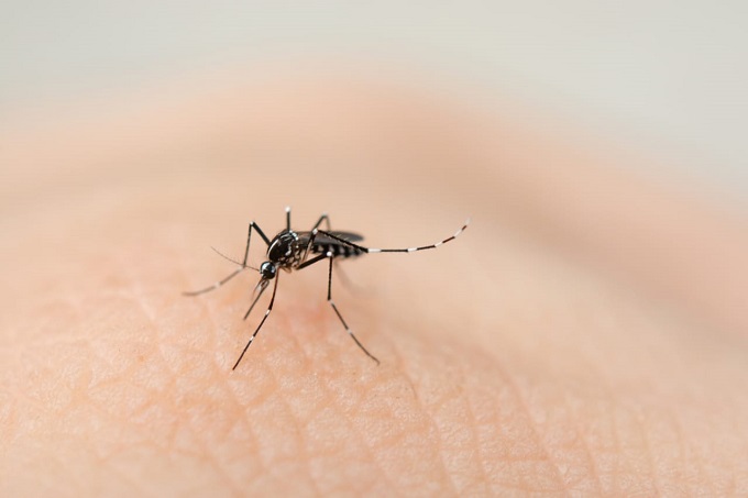 Primera muerte por virus del Nilo Occidental en NC