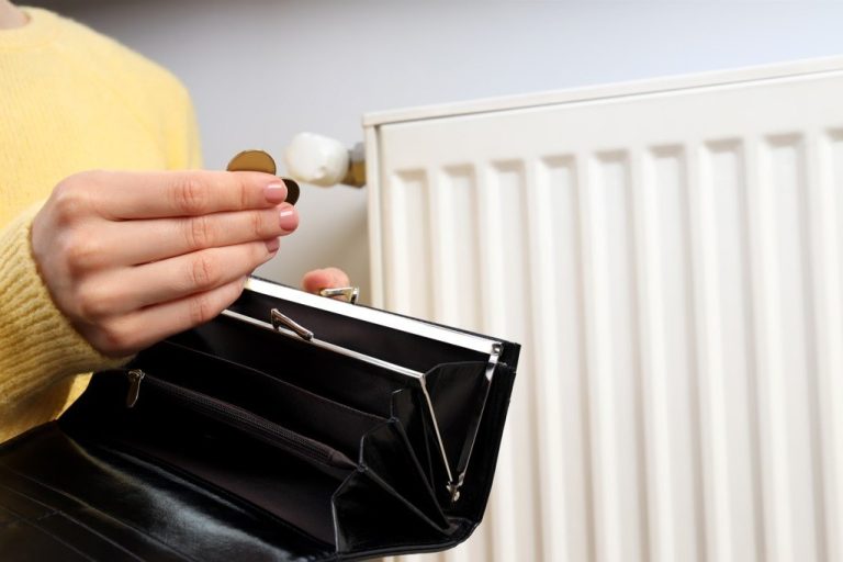 Ayudas para reducir costos de energía en invierno