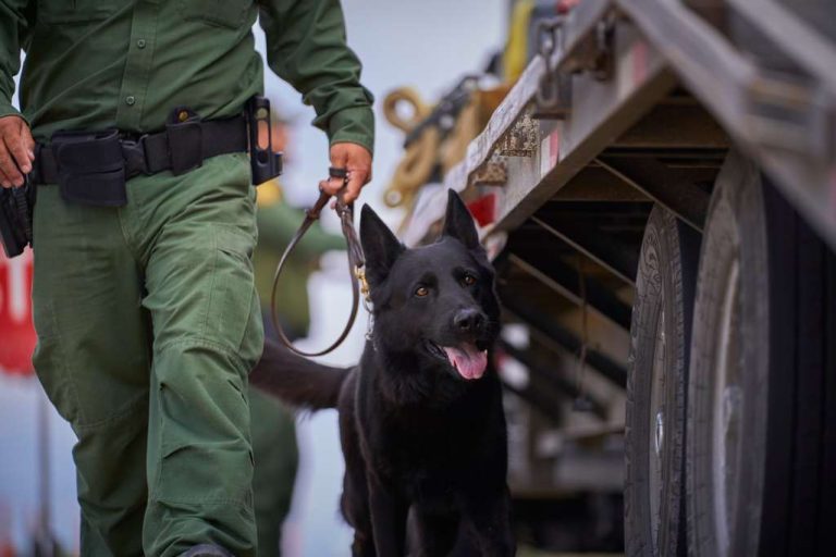 Juez Emmet Sullivan prohíbe expulsión de migrantes bajo el Título 42
