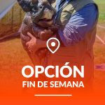 OPCION-FIN-DE-SEMANA (2)
