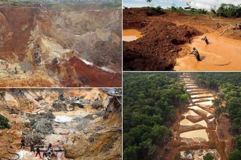 Responden a denuncia de Leonardo DiCaprio por deforestación en Venezuela