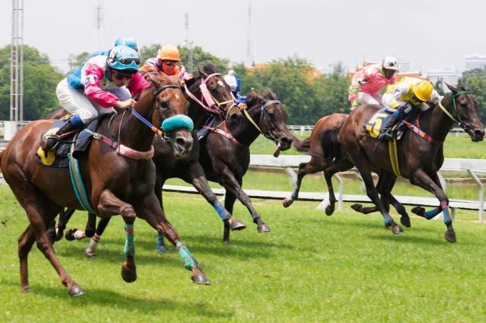 Polémica en carreras de caballos por fallo inconstitucional