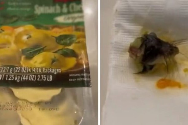 Latina encontró una cabeza de ratón en ravioli comprado en Costco