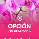 OPCION-FIN-DE-SEMANA (8)
