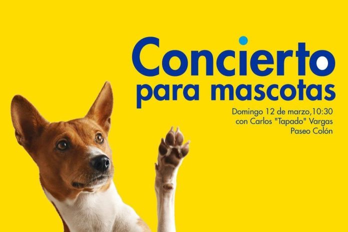 Darán un concierto para mascotas