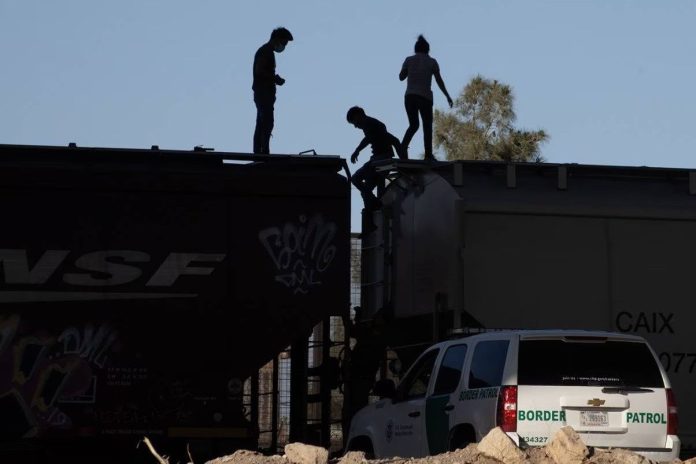 Oficiales hallan inmigrantes muertos a bordo de un tren