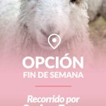 OPCION-FIN-DE-SEMANA