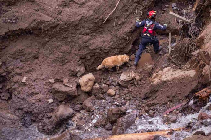 Último reporte nada esperanzador por deslizamiento en Ecuador