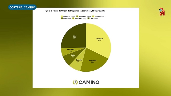 grafico-camino