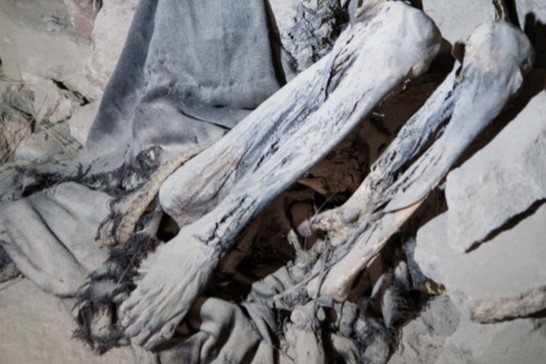 Museo abre sus puertas con más de 40 momias del mundo