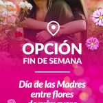 OPCION-FIN-DE-SEMANA