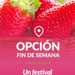 OPCION-FIN-DE-SEMANA