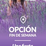 OPCION-FIN-DE-SEMANA