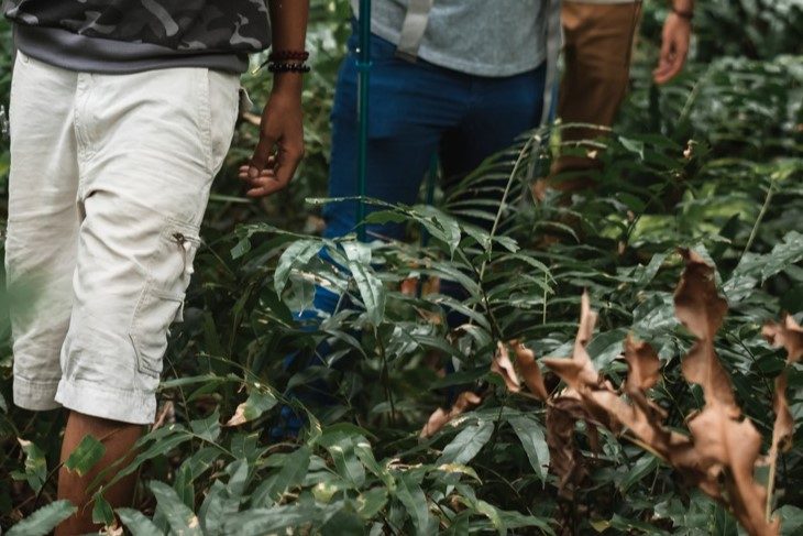 Recuperan a más de 10 migrantes ahogados en la Selva del Darién