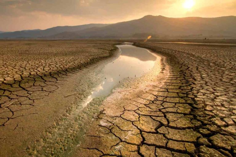 Calor húmedo mortal afectará casi al 19% de la población en 2100