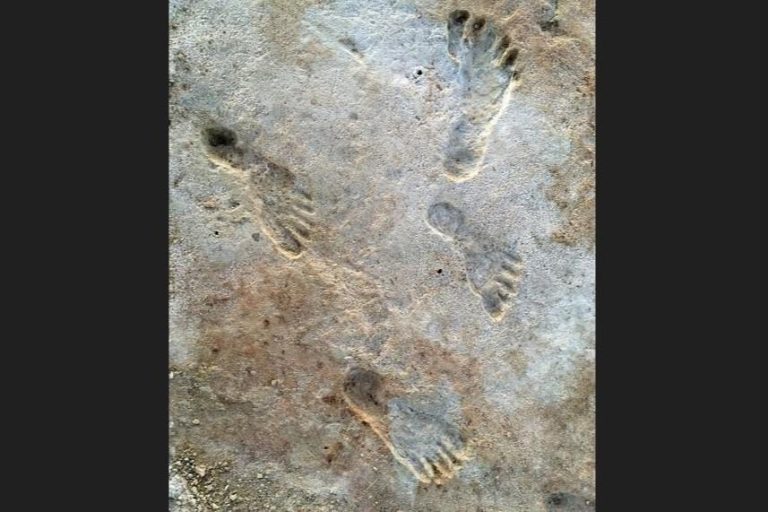 Estudio replantea datación de las huellas humanas más antiguas de Nuevo México